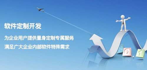 寧河企業(yè)管理系統(tǒng)開發(fā) 軟件外包服務(wù)的優(yōu)勢與實施策略