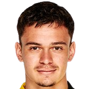 法比安·里德?tīng)?></p>
<p class=